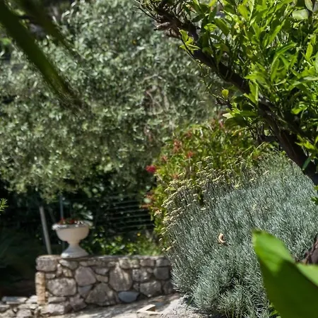Apartamento Magnolia - Gardenia By Interhome