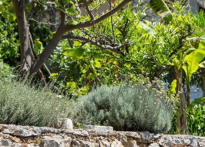 Magnolia - Gardenia By Interhome Apartment Mali Losinj