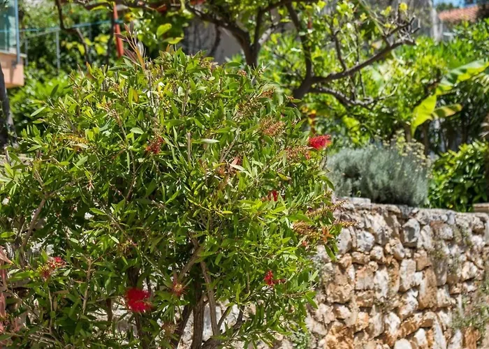 Magnolia - Gardenia By Interhome * Mali Losinj